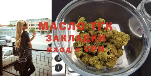 мдпв Ладушкин